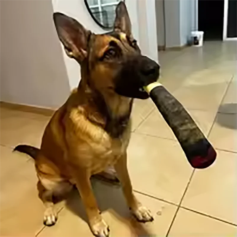 Plush Squeaky Dog Toy in Cigar Design