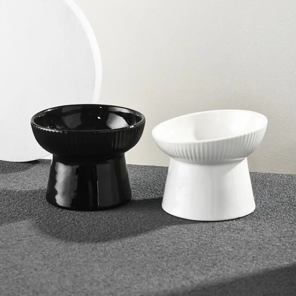 Slanted Elevated Ceramic Cat Bowl