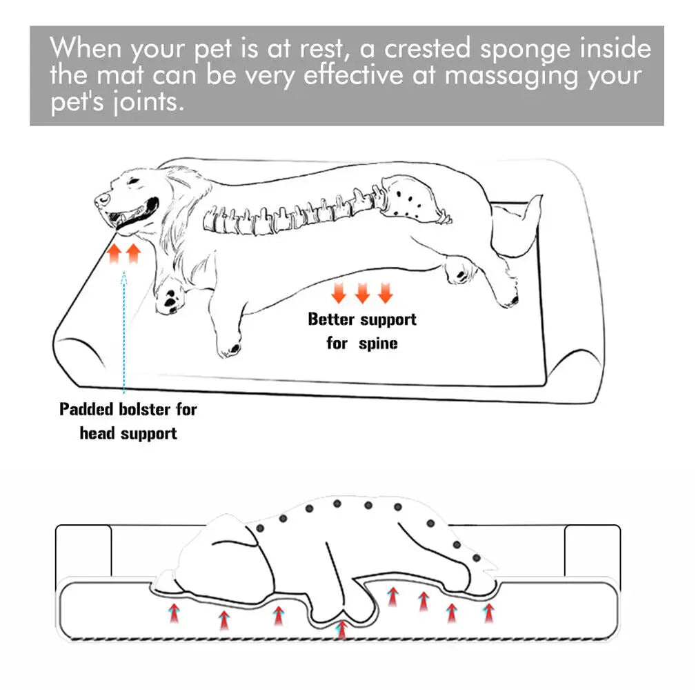 BINGOPAW Orthopedic Dog Bed with Washable Cover