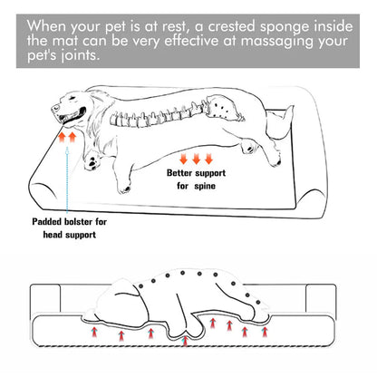BINGOPAW Orthopedic Dog Bed with Washable Cover