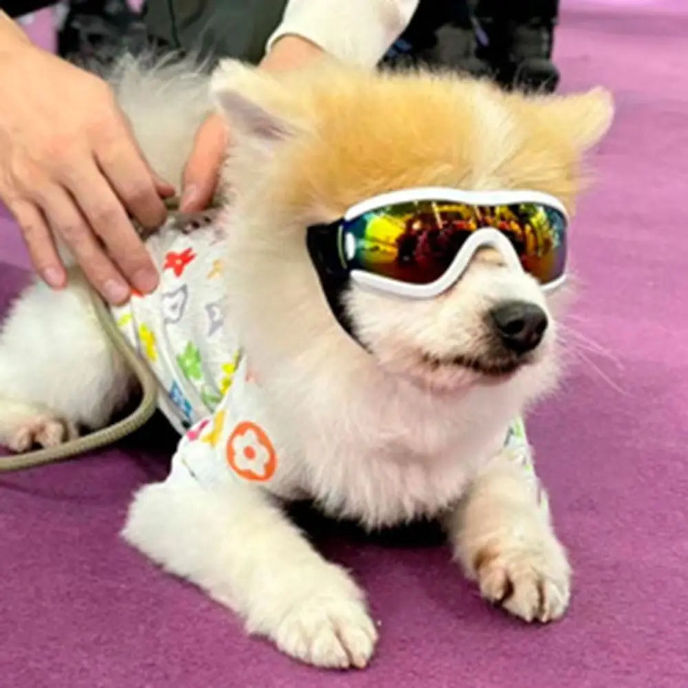 UV-Resistant Dog Goggles for Outdoor Protection