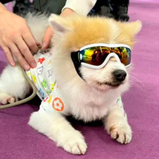 UV-Resistant Dog Goggles for Outdoor Protection