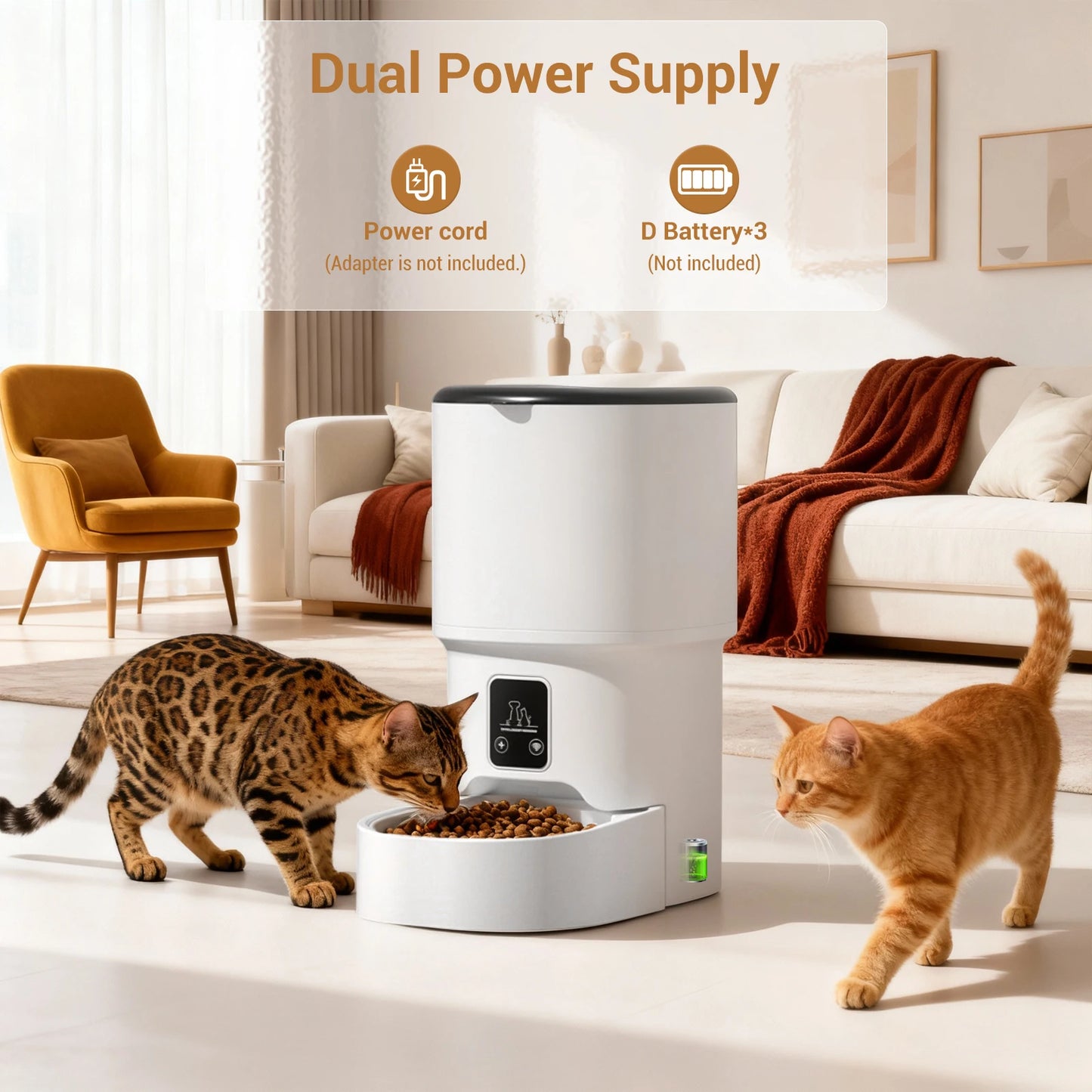 Automatic Pet Feeder with 6-Meal Portion Control