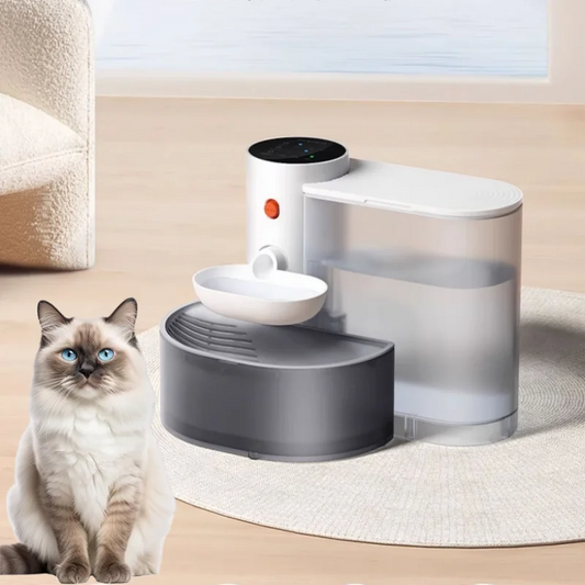 Rechargeable Automatic Pet Water Dispenser