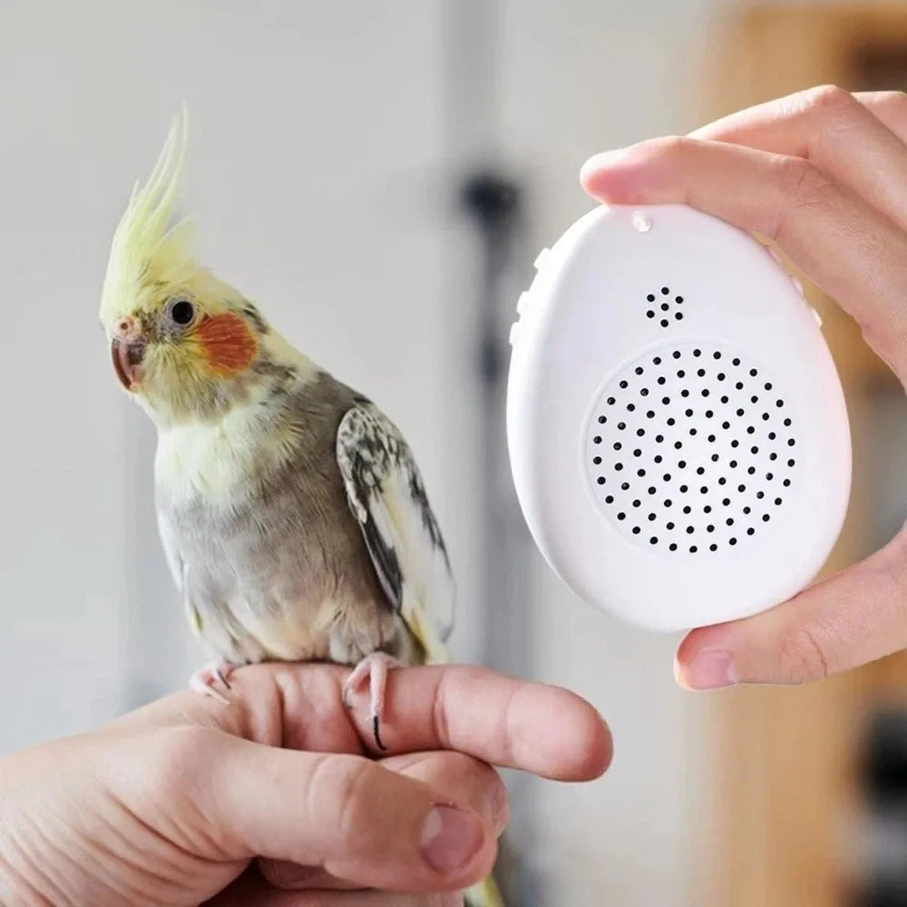 Interactive Bird Training and Playback Device