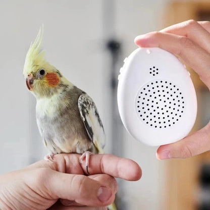 Interactive Bird Training and Playback Device
