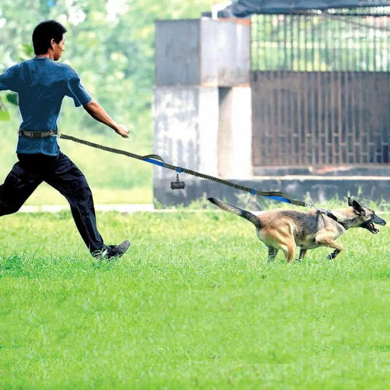 Hands Free Reflective Dog Leash