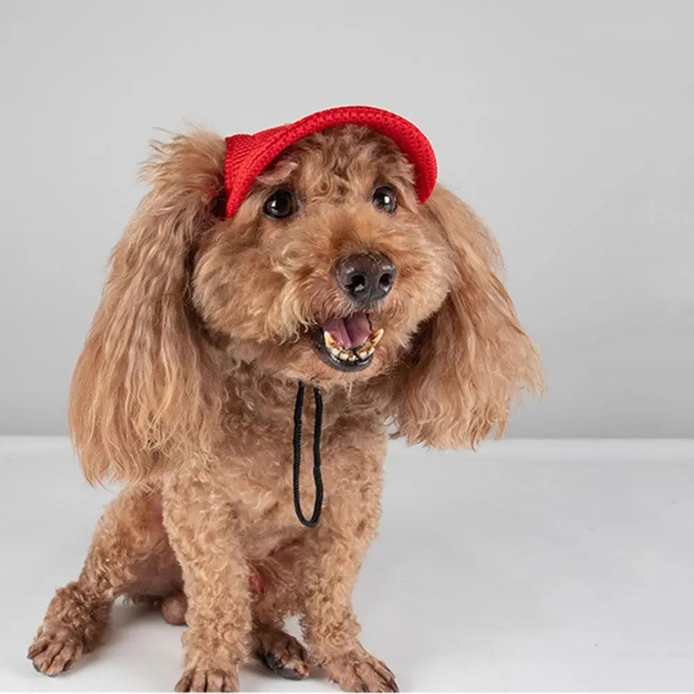 Adjustable Pet Sun Hat with Ear Holes