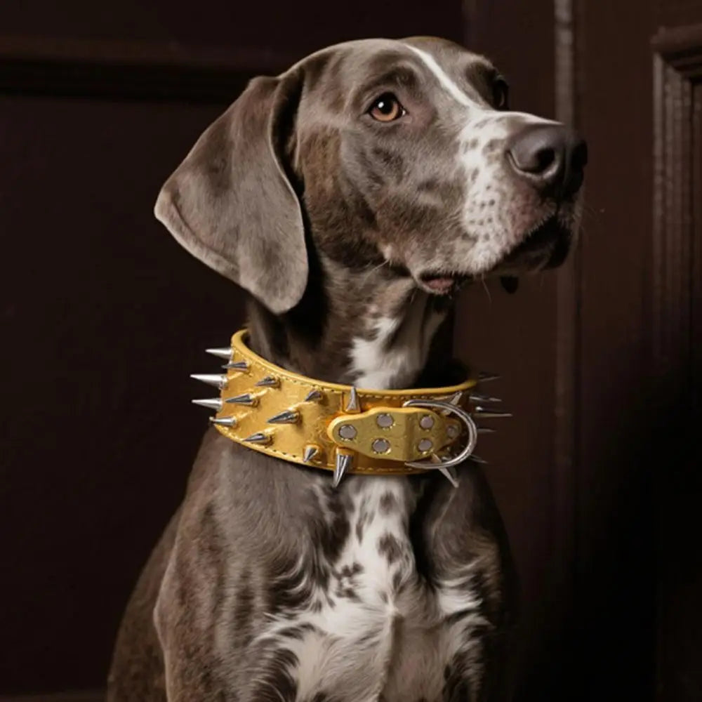 Spiked Dog Collar with Adjustable PU Leather Strap