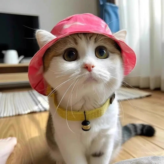 Cat Bucket Sun Hat with Ear Holes