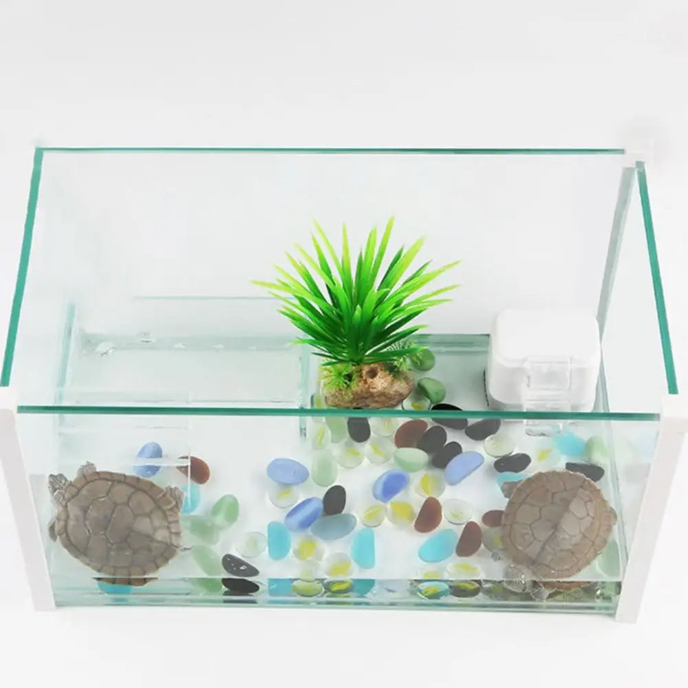 Mini Turtle Tank Filter Pump for Low Water Levels
