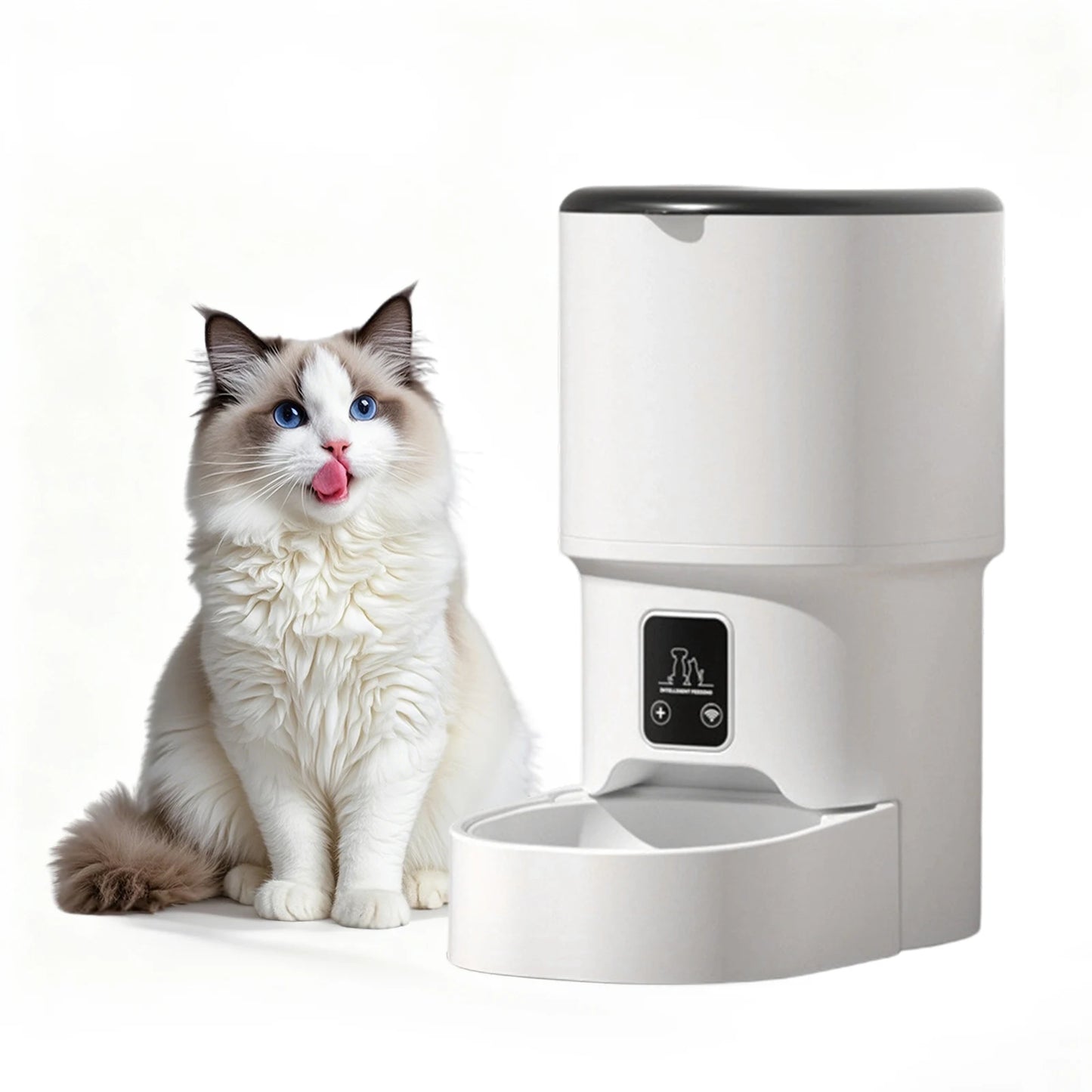 Automatic Pet Feeder with 6-Meal Portion Control