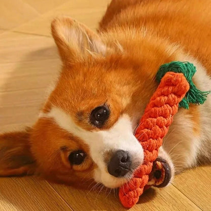 Cotton Rope Dog Toy for Chewing and Play