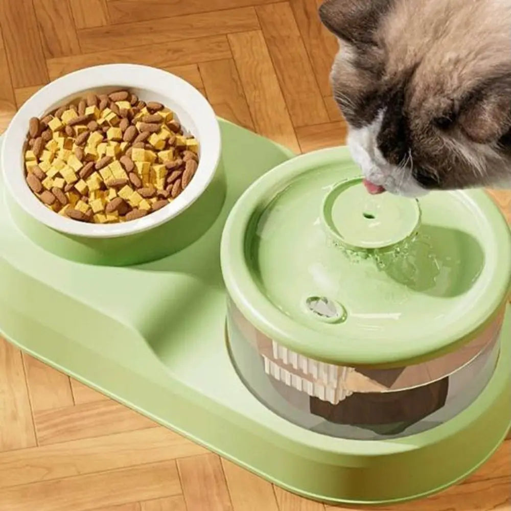 USB Pet Water Fountain and Feeder