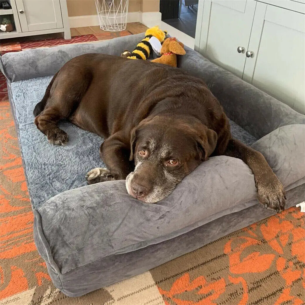 Orthopedic Dog Bed with Removable Washable Cover