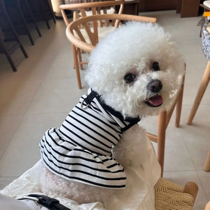 Striped Pet Vest and Dress for Small Dogs