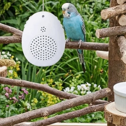 Interactive Bird Training and Playback Device