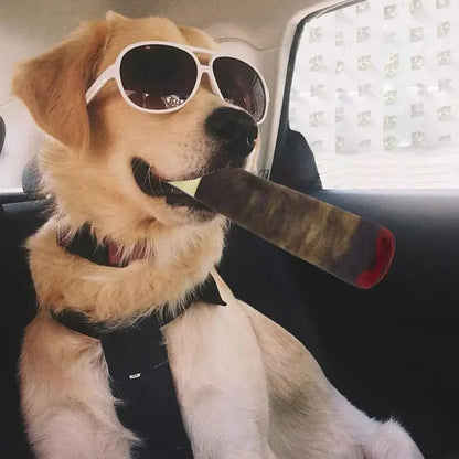 Plush Squeaky Dog Toy in Cigar Design