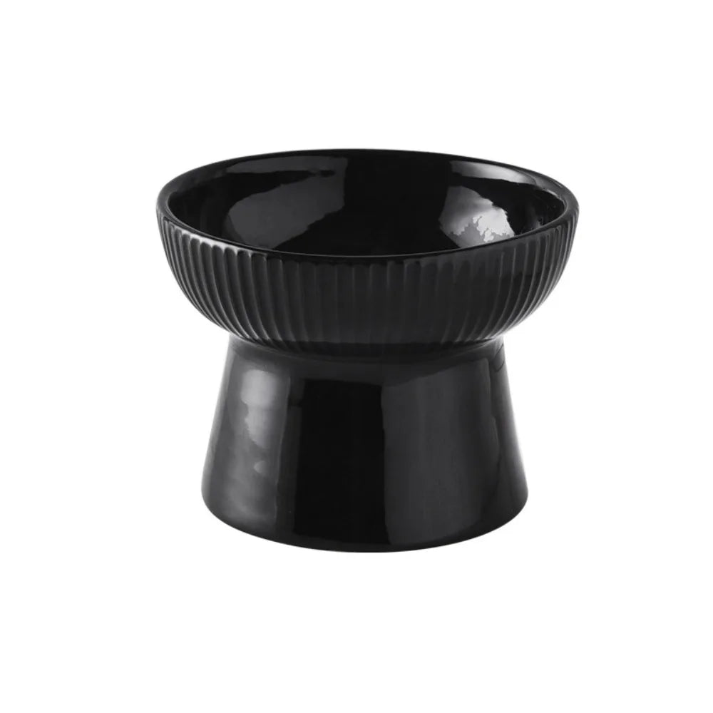 Slanted Elevated Ceramic Cat Bowl