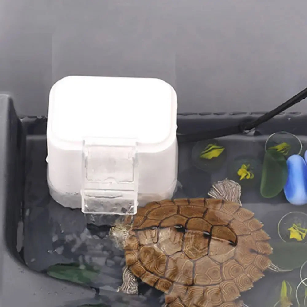 Mini Turtle Tank Filter Pump for Low Water Levels