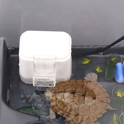 Mini Turtle Tank Filter Pump for Low Water Levels