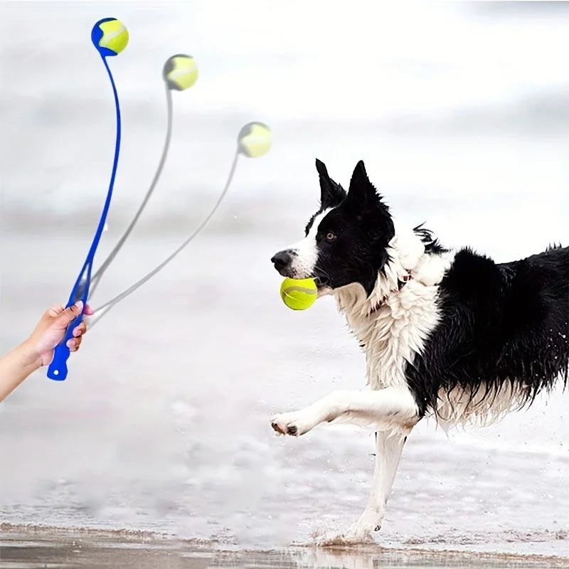 Interactive Dog Ball Launcher for Outdoor Play