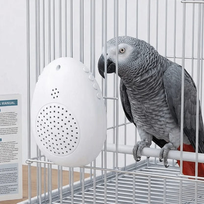 Interactive Bird Training and Playback Device