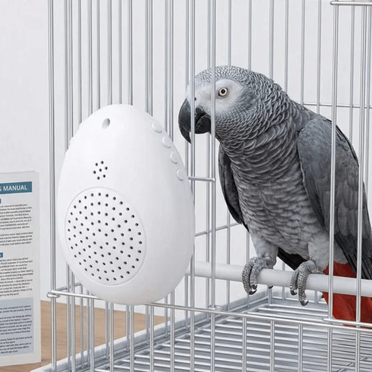 Interactive Bird Training and Playback Device
