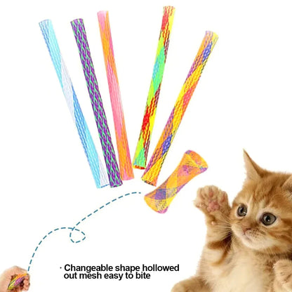 Cat Spring Toy Set for Interactive Play