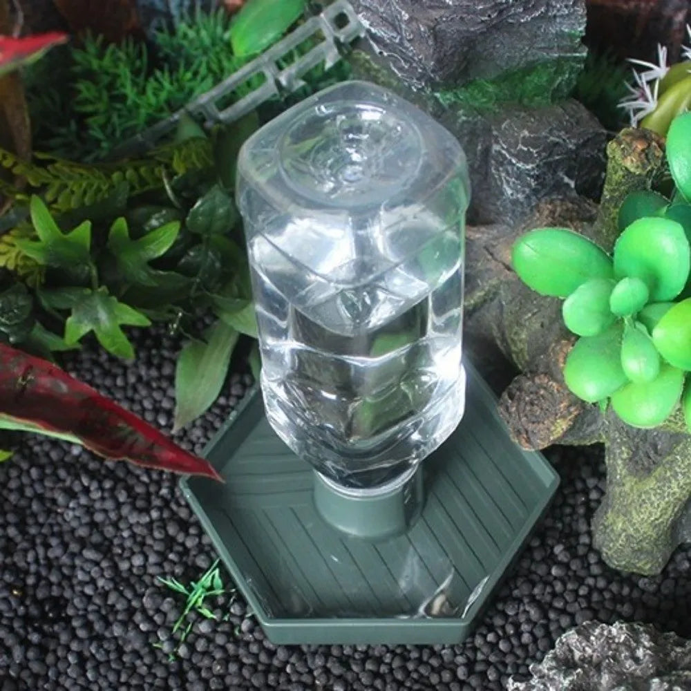 Automatic Turtle Water Feeder Bowl