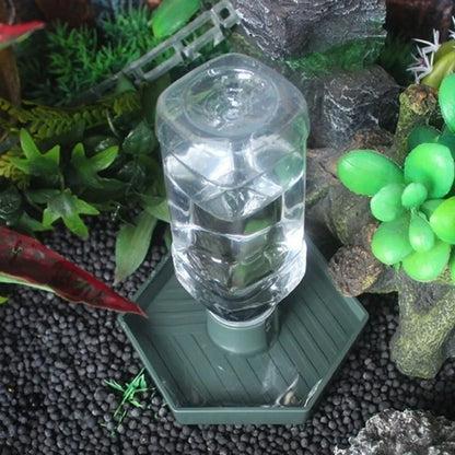 Automatic Turtle Water Feeder Bowl