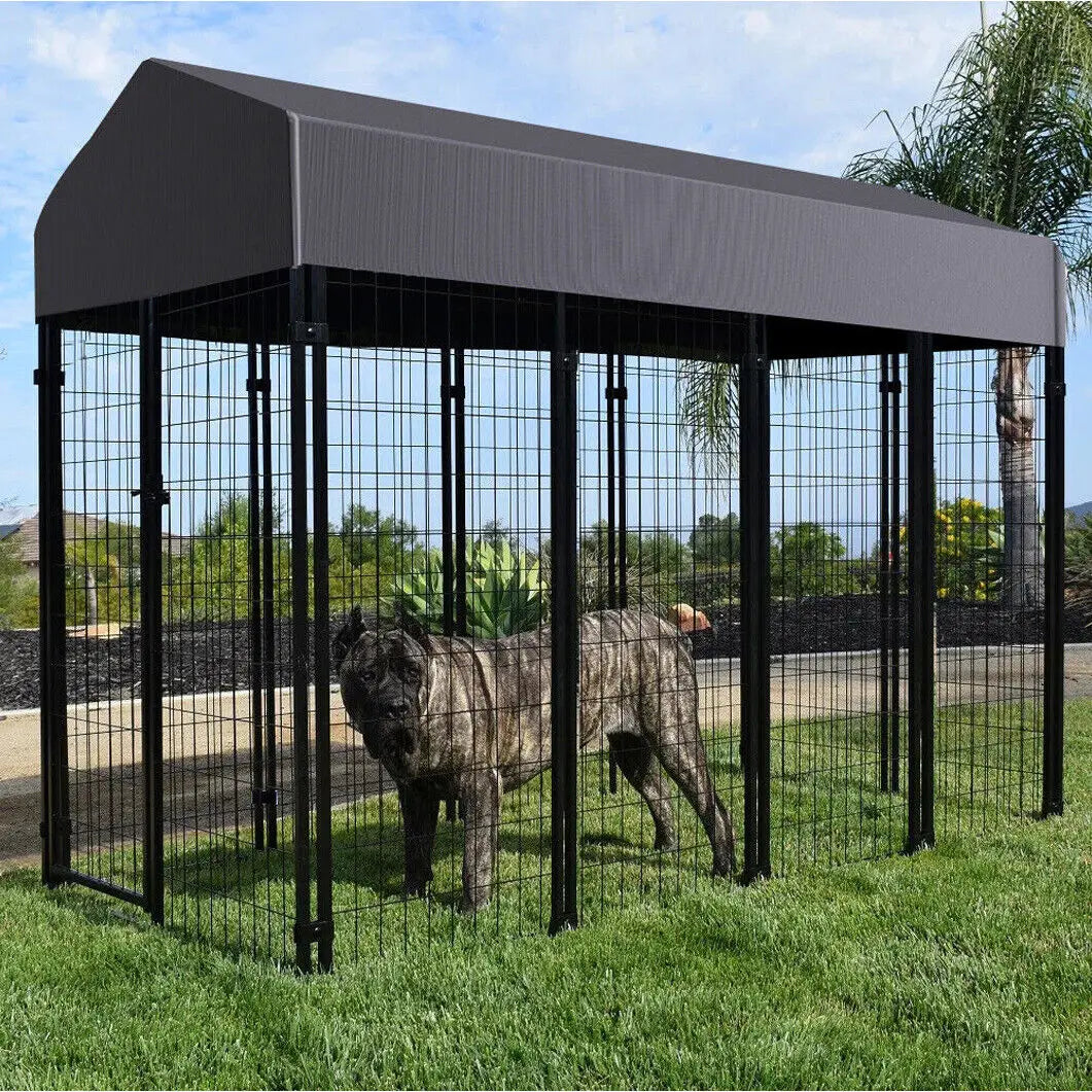 Outdoor Dog Kennel and Playpen with Roof