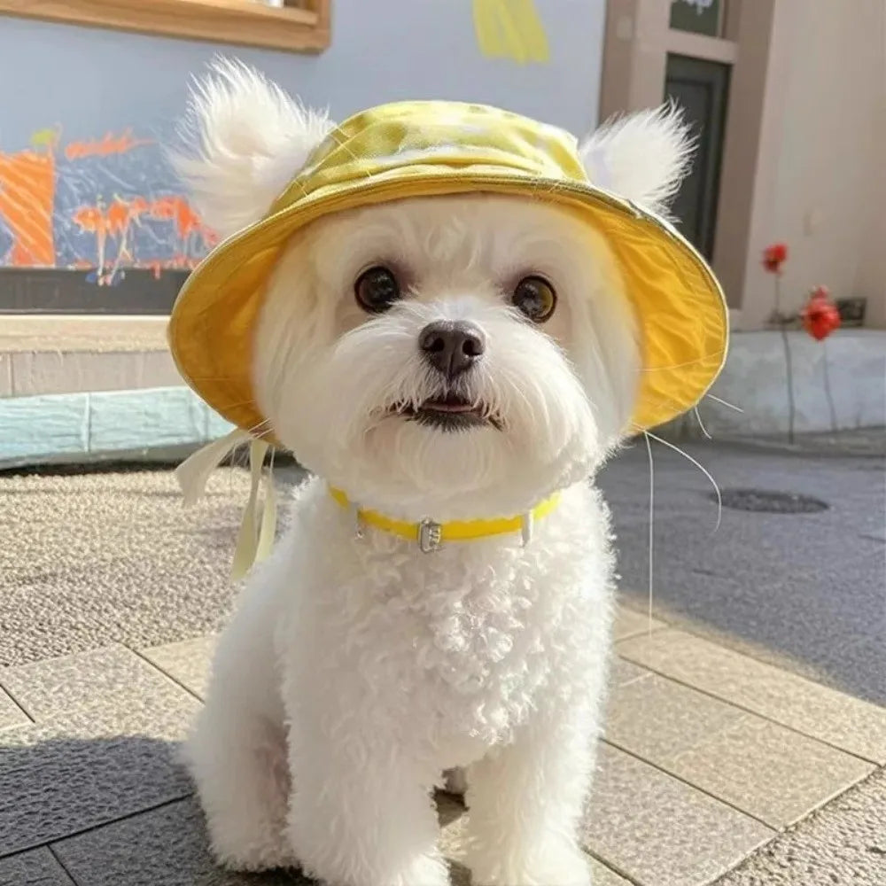 Cat Bucket Sun Hat with Ear Holes
