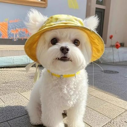 Cat Bucket Sun Hat with Ear Holes