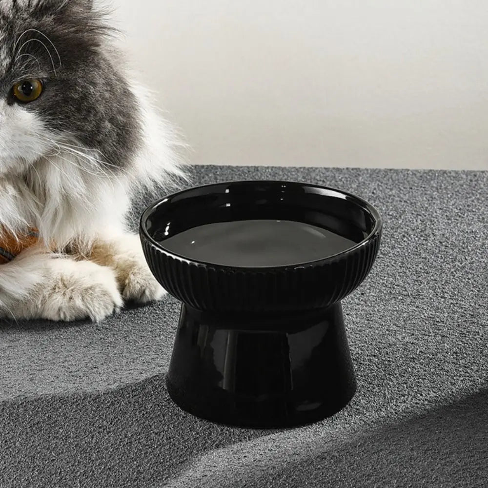 Slanted Elevated Ceramic Cat Bowl
