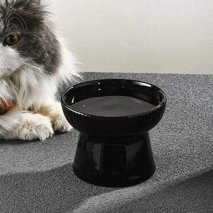 Slanted Elevated Ceramic Cat Bowl