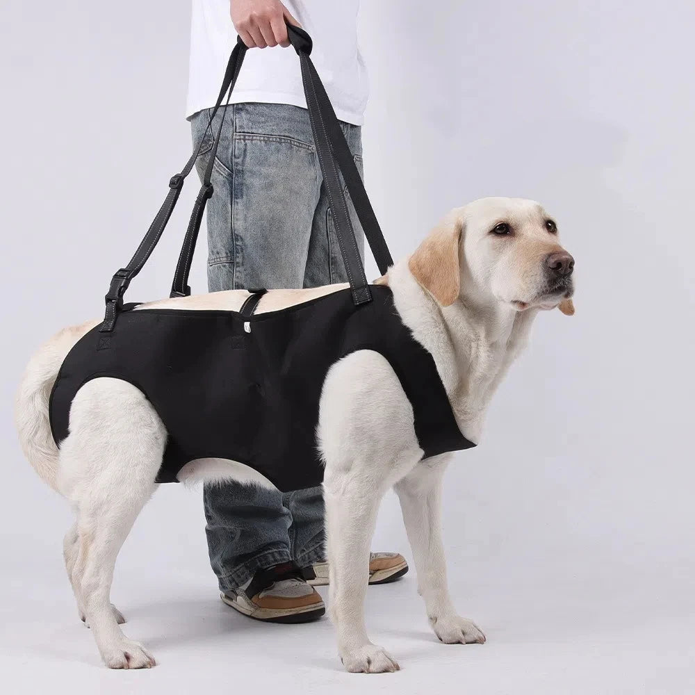 Adjustable Dog Lift Harness with Support Handle
