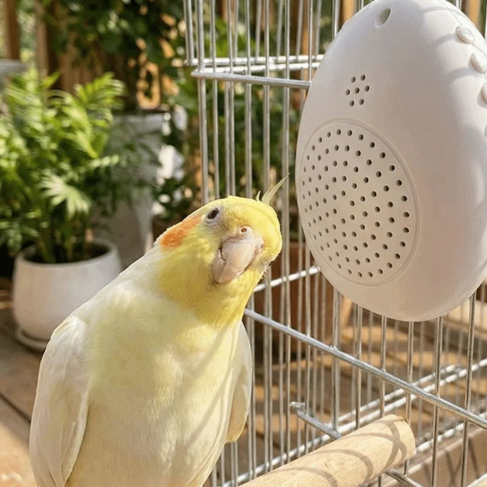 Interactive Bird Training and Playback Device