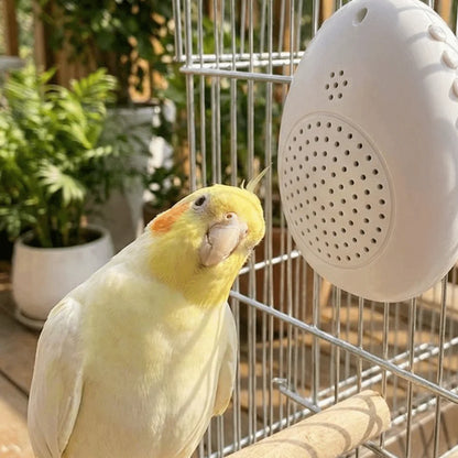 Interactive Bird Training and Playback Device