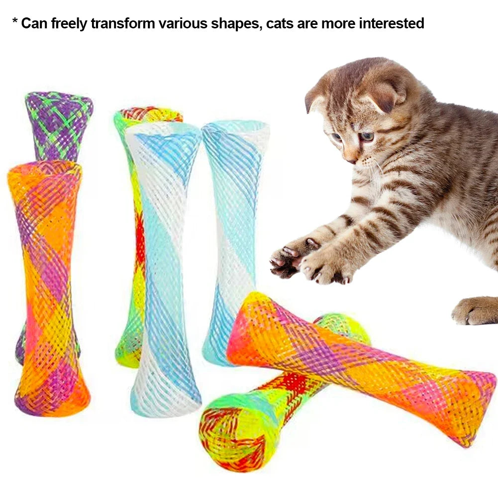 Cat Spring Toy Set for Interactive Play