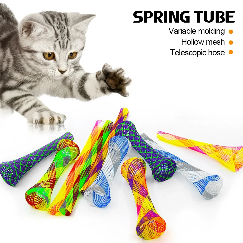 Cat Spring Toy Set for Interactive Play