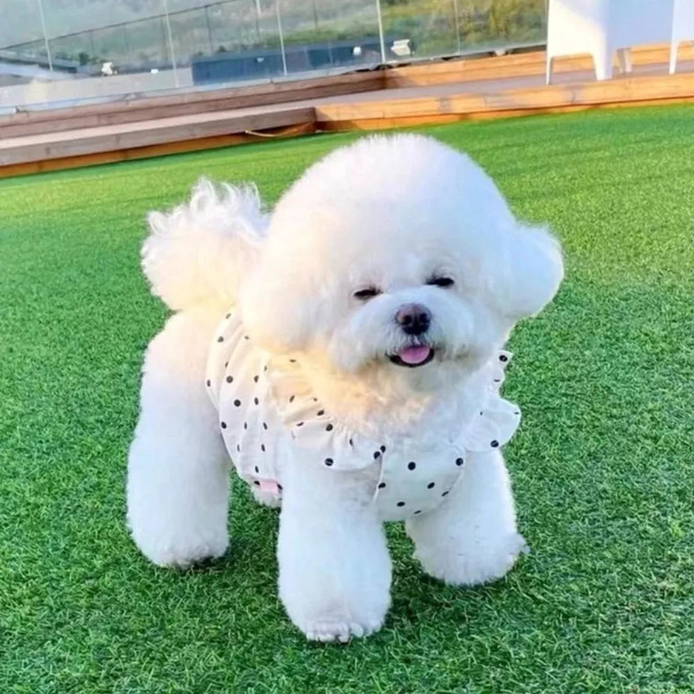 Polka Dot Pet Dress for Small Dogs