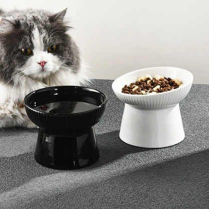Slanted Elevated Ceramic Cat Bowl