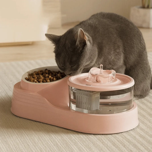 USB Pet Water Fountain and Feeder