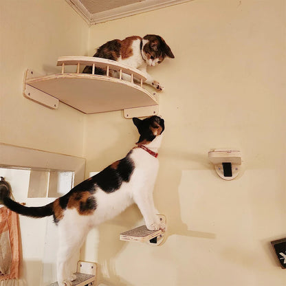 PETRAVEL Wall-Mounted Cat Climbing Shelf with Sisal Steps
