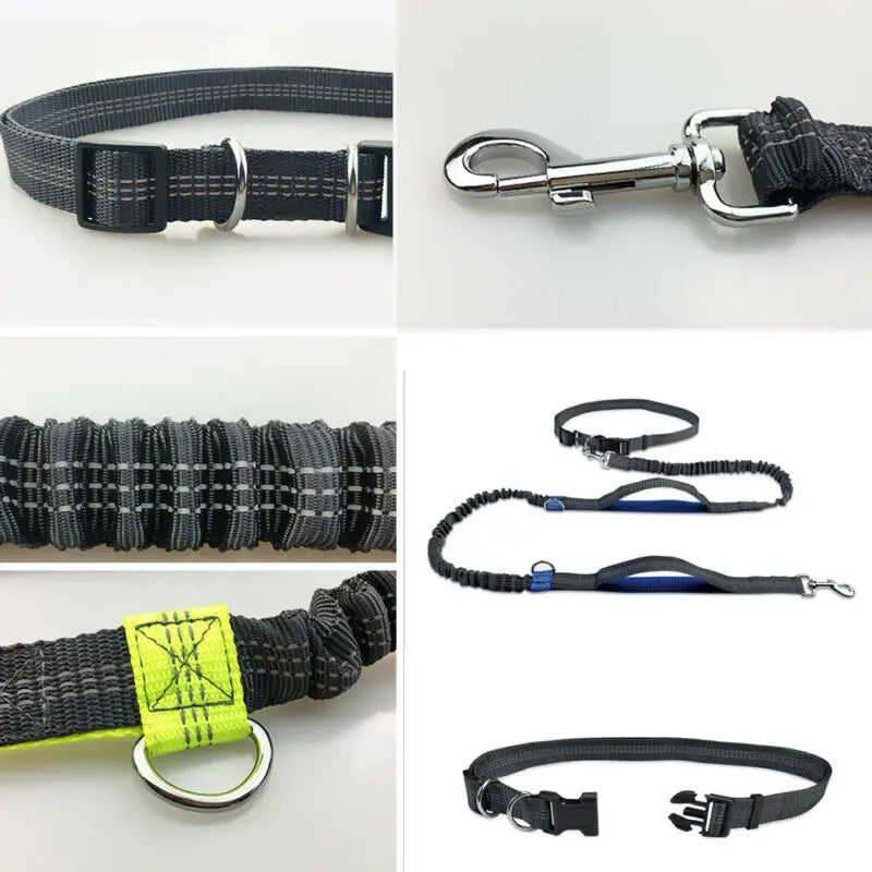 Hands Free Reflective Dog Leash