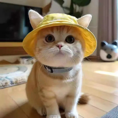 Cat Bucket Sun Hat with Ear Holes