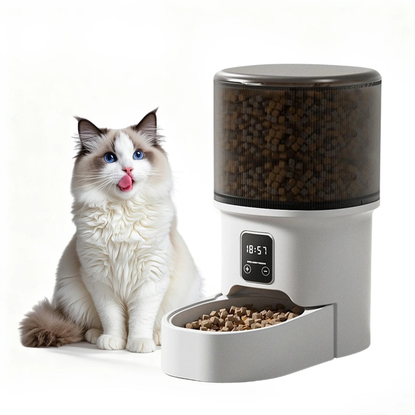 Automatic Pet Feeder with 6-Meal Portion Control