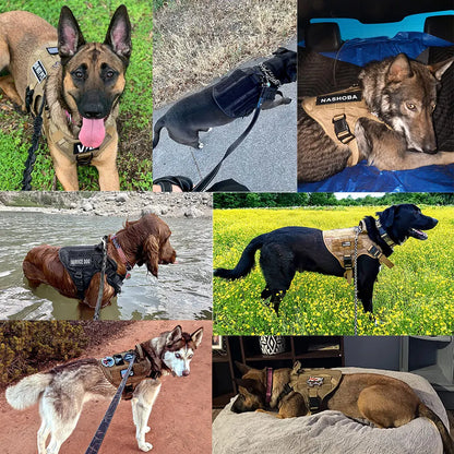 PETRAVEL Tactical Dog Harness and Leash Set