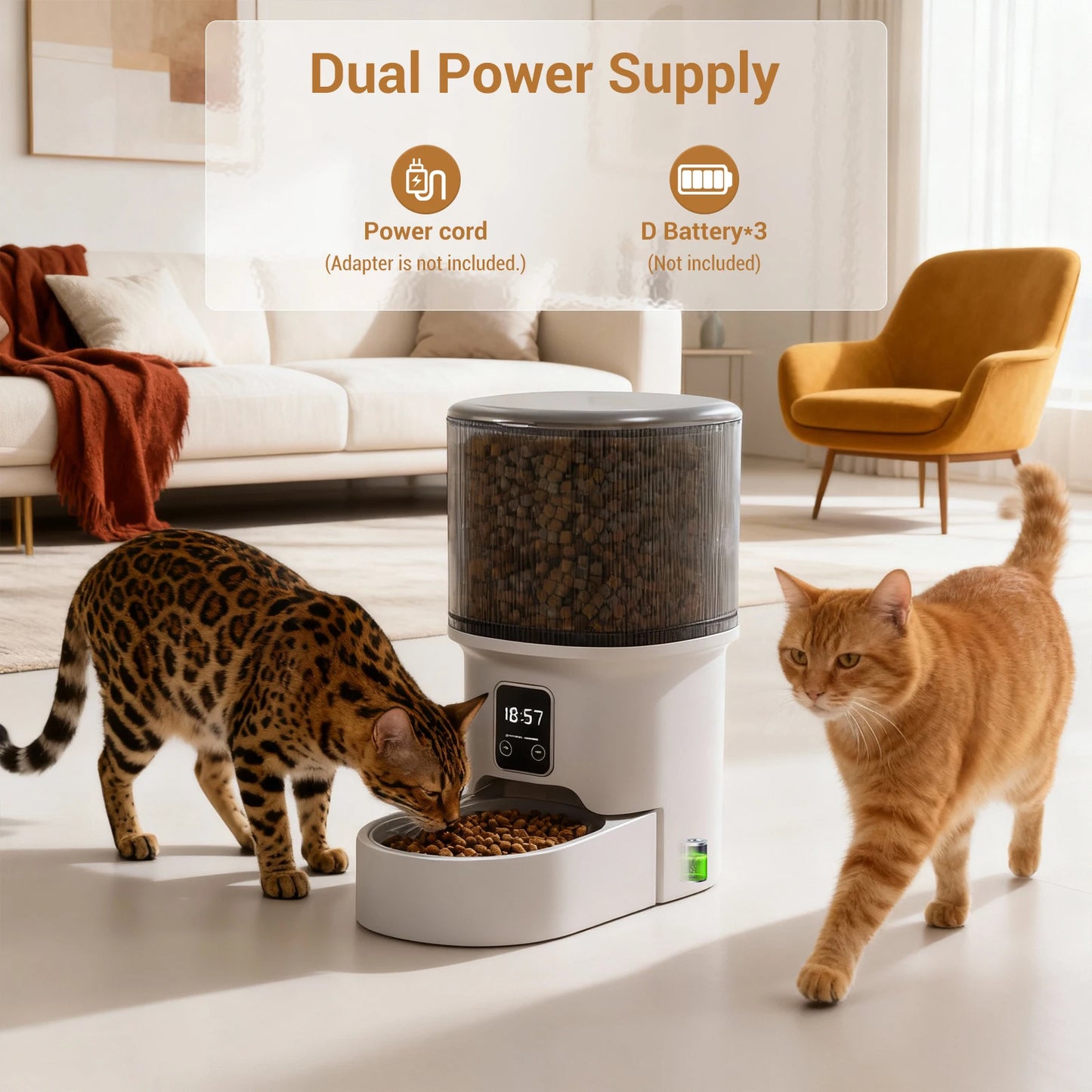 Automatic Pet Feeder with 6-Meal Portion Control